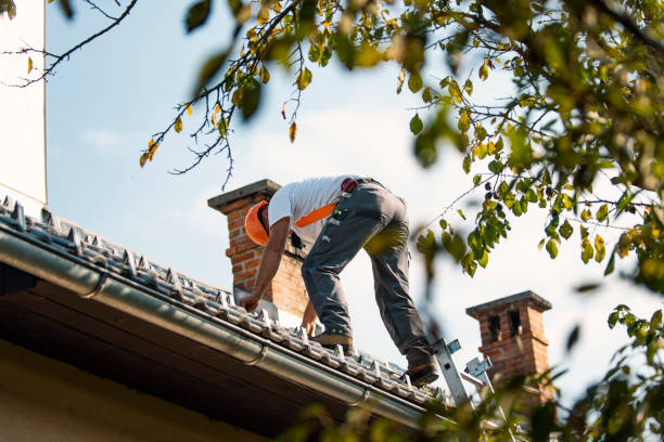 Best Roof Gutter Cleaning  in Hanna City, IL