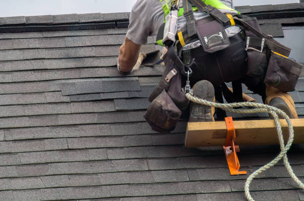 Best Metal Roofing Contractor  in Hanna City, IL