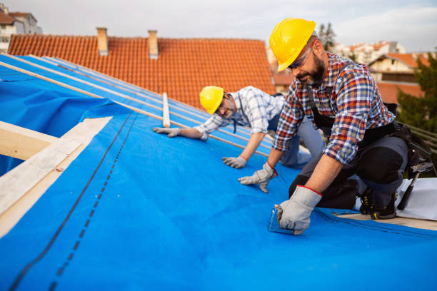 Best Gutter Installation and Roofing  in Hanna City, IL