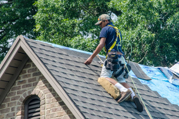 Best Flat Roof Repair Services  in Hanna City, IL