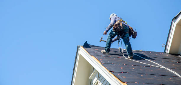 Best Roof Gutter Cleaning  in Hanna City, IL